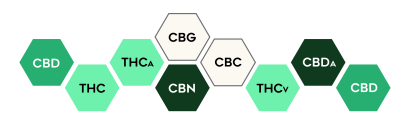 CBD Full Spectrum chemical composition