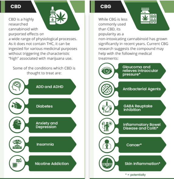 CBG vs CBD infographic